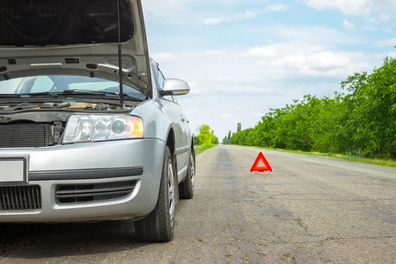 chauffeur taxi service depannage assistance chambery